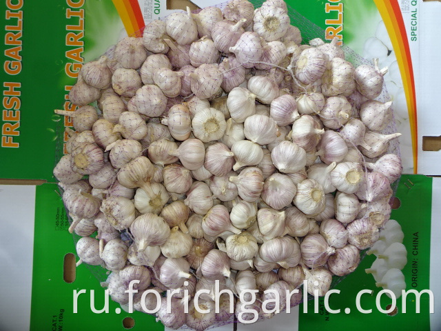 Crop 2019 Fresh Normal Garlic